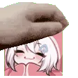 renxCOMFYPAT