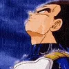 VegetaRain