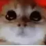 RAGEY