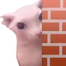 BingusPeek