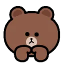 brown_bear_a_shy