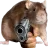 GunRat