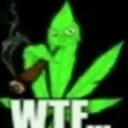weedtf weedtf