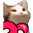 catL