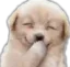 puppylaugh