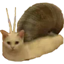 le_snail