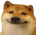 dogesmug