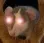 RatMenacing
