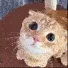 The_Stare The_Stare