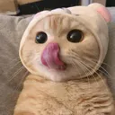 lick