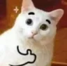 cat Discord Emoji