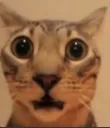 what