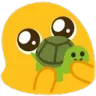 cuteturtle