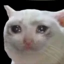 cryingverymuch Discord Emoji