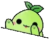 bongoKo