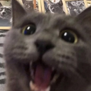 ch_sohappi Discord emoji