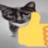 ThumbsUpCat ThumbsUpCat