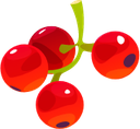 currant Discord emoji