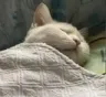tired