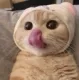 yos