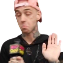 bearStop Discord emoji