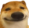DogSmile DogSmile