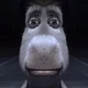 NJ_stare
