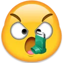 inhaler