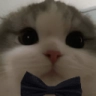 andrewsir Discord emoji