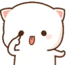 pora