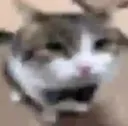 y_ y_
