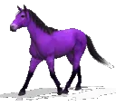 P_horse