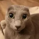 mewhen