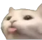 tongue_out