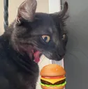 ch_beesechurger