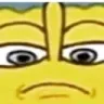 spongelook