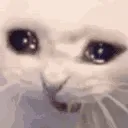 CryingCat