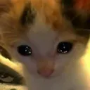 kitsad Discord Emoji