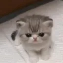 kitangry