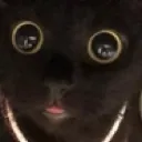 cute