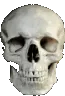 6eSkull4K 6eSkull4K