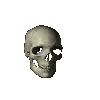 skull
