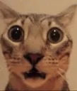 OhMyGawd