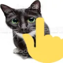 pointingupcat Discord Emoji