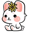 riceSIT riceSIT