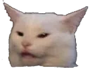 Cat2 cat2 Discord Emoji