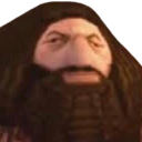 PS1_Hagrid