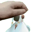 pethyo