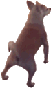 dog Discord emoji