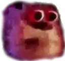 SullyWTF